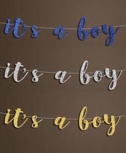 Banniere Lettres It's a boy Baby Shower Garcon