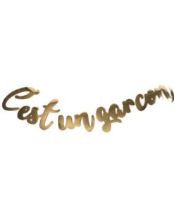 Guirlande lettres C'est un garçon Babyshower