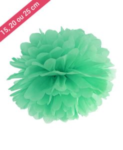 Pompon Couleur Mint